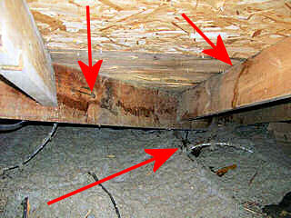 Water staining on attic rafters