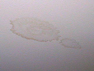 Ceiling stain from a roof leak