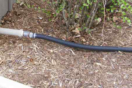 Discharge Hose
