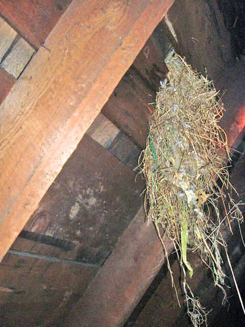Vent blocked by bird nest